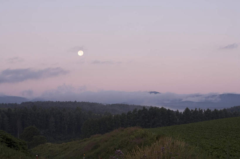无人,横图,俯视,航拍,室外,白天,旅游,度假,美景,山,树林,太阳,植物,雾,神奈川,日本,亚洲,许多,朦胧,模糊,盛开,景观,山峰,云,云朵,山峦,神奈川县,花蕾,云彩,娱乐,花,花瓣,花朵,鲜花,树,树木,蓝色,绿色,紫色,白云,蓝天,天空,自然,天,花苞,花蕊,享受,休闲,景色,放松,生长,晴朗,成长,迷雾,鸟瞰,自然风光,东亚,本州,关东地方,本州岛,日本国,大雾,晴空,彩图,高角度拍摄