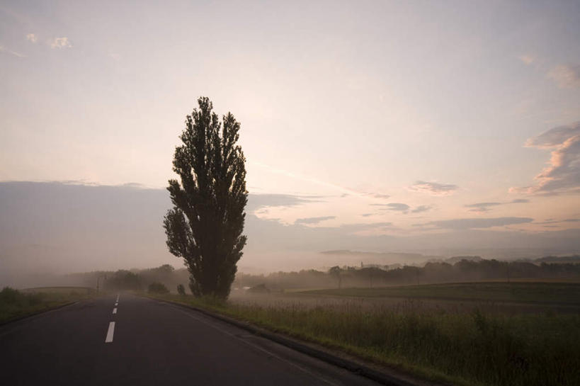 无人,横图,室外,白天,仰视,旅游,度假,美景,树林,植物,道路,路,路灯,公路,照明,北海道,日本,亚洲,许多,景观,灯光,交通,娱乐,灯,树,树木,蓝色,绿色,蓝天,天空,自然,天,享受,休闲,景色,放松,生长,晴朗,成长,照亮,照明设备,自然风光,东亚,万里无云,日本国,北海道地方,北海道岛,晴空,晴空万里,马路,彩图,低角度拍摄