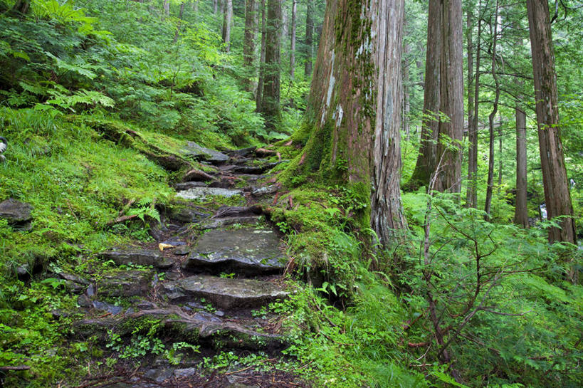 无人,横图,室外,白天,正面,旅游,度假,石头,美景,山,树林,植物,楼梯,长野县,日本,亚洲,许多,石子,阶梯,景观,山峰,山峦,娱乐,台阶,树,树木,绿色,自然,享受,休闲,景色,放松,生长,成长,自然风光,东亚,本州,本州岛,日本国,中部地方,长野,石块,彩图