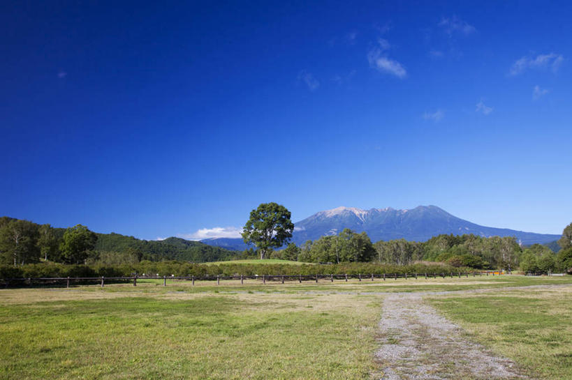 无人,家,栏杆,横图,室外,白天,正面,旅游,度假,草地,美景,山,树林,雪,植物,雾,大雪,道路,路,富山县,日本,亚洲,许多,朦胧,模糊,房屋,屋子,积雪,景观,山峰,雪景,冬季,冬天,围栏,小路,交通,山峦,娱乐,护栏,楼房,住宅,草,树,树木,蓝色,绿色,蓝天,天空,自然,天,享受,休闲,景色,放松,寒冷,乡间小路,生长,晴朗,成长,迷雾,自然风光,东亚,本州,万里无云,本州岛,日本国,中部地方,严寒,富山,大雾,晴空,晴空万里,彩图,房子