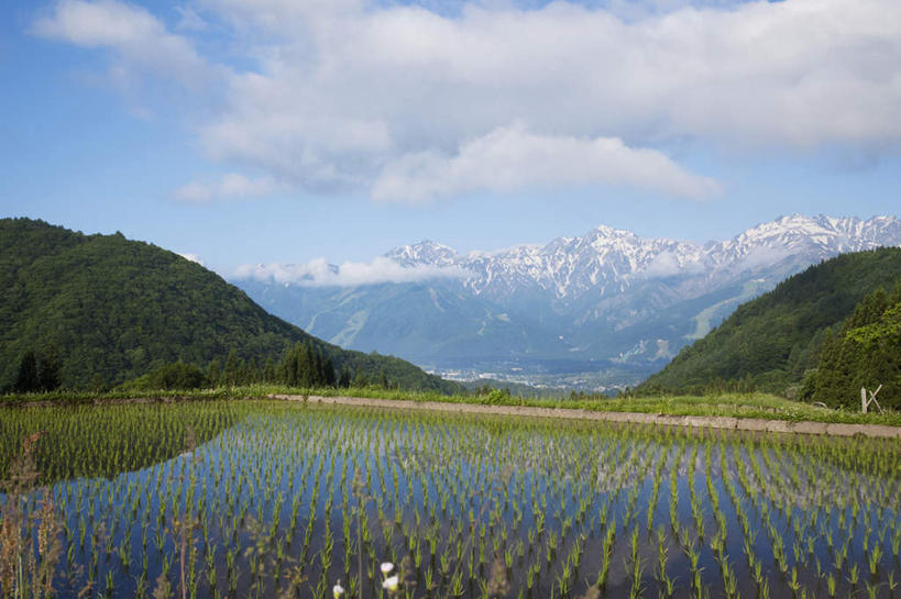 无人,农田,横图,室外,白天,仰视,旅游,度假,农业,庄稼,农作物,美景,山,树林,水,雪,植物,大雪,长野县,日本,亚洲,许多,液体,稻田,积雪,景观,山峰,水滴,雪景,云,云朵,冬季,冬天,山峦,云彩,娱乐,树,树木,蓝色,绿色,白云,蓝天,天空,自然,天,享受,休闲,景色,放松,寒冷,生长,晴朗,成长,自然风光,东亚,本州,本州岛,日本国,中部地方,长野,严寒,晴空,彩图,低角度拍摄,耕地,庄稼田