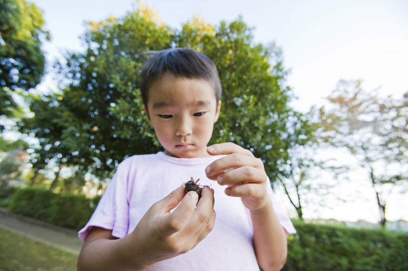 东方人,儿童,一个人,站,举,横图,室外,白天,仰视,游戏,纯洁,美景,树林,植物,蝉,亚洲,仅一个男性,仅一个人,许多,握,服装,朦胧,模糊,昆虫,景观,云,云朵,拿,玩,云彩,拿着,注视,休闲装,黄种人,娱乐,树,树木,一只,小孩,衣服,蓝色,绿色,白云,蓝天,天空,自然,动物,天,观察,看,托,站着,仅一个小孩,休闲,休闲服,景色,可爱,童年,童趣,握着,服饰,生长,晴朗,成长,观看,活动,察看,发泄,关注,消遣,智力,自然风光,童真,烂漫,无邪,害虫,宣泄,蚱蝉,天真,男孩,男人,男性,亚洲人,孩子,晴空,知了,举起,举手,举着,玩耍,嬉戏,向上举,向上伸,向上托,站立,半身,彩图,低角度拍摄,男生
