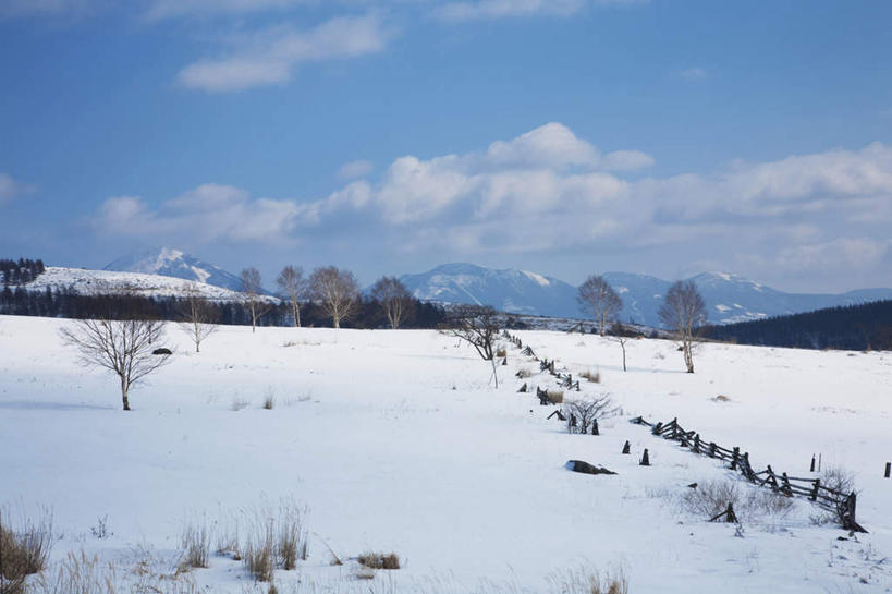 无人,栏杆,横图,室外,白天,正面,旅游,度假,美景,山,树林,雪,植物,大雪,富山县,日本,亚洲,许多,积雪,景观,山峰,雪景,云,云朵,冬季,冬天,围栏,山峦,云彩,娱乐,护栏,树,树木,蓝色,绿色,白云,蓝天,天空,自然,天,享受,休闲,景色,放松,寒冷,生长,晴朗,成长,自然风光,东亚,本州,本州岛,日本国,中部地方,严寒,富山,晴空,彩图