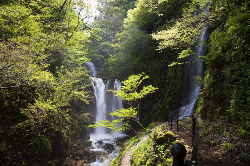 无人,横图,室外,白天,正面,旅游,度假,石头,美景,瀑布,树林,水,植物,富山县,日本,亚洲,许多,阴影,飞溅,朦胧,模糊,溅,光线,石子,液体,影子,景观,水滴,娱乐,水珠,树,树木,绿色,阳光,自然,享受,休闲,景色,放松,生长,成长,喷洒,自然风光,东亚,本州,本州岛,日本国,中部地方,富山,跌水,石块,岩石,彩图
