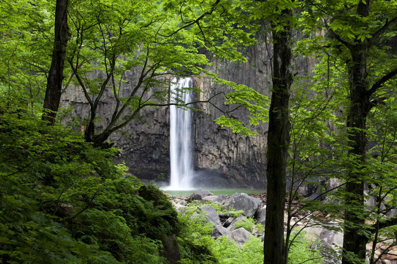 无人,横图,俯视,室外,白天,旅游,度假,河流,石头,美景,瀑布,树林,水,植物,长野县,日本,亚洲,许多,飞溅,溅,石子,液体,河水,景观,水滴,水流,娱乐,水珠,树,树木,绿色,小溪,自然,溪水,享受,休闲,景色,放松,生长,成长,喷洒,自然风光,东亚,本州,本州岛,日本国,中部地方,长野,跌水,石块,岩石,彩图,高角度拍摄