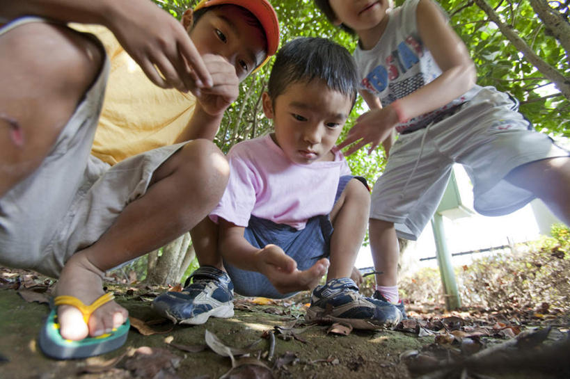 东方人,儿童,三个人,伙伴,朋友,站,蹲,横图,室外,白天,仰视,凉鞋,游戏,友谊,纯洁,美景,树林,植物,帽子,鞋子,亚洲,许多,服装,朦胧,模糊,景观,泥土,摊开,玩,注视,休闲装,黄种人,娱乐,运动帽,树,树木,小孩,衣服,绿色,自然,观察,看,站着,休闲,休闲服,鸭舌帽,景色,可爱,童年,童趣,服饰,生长,成长,观看,活动,察看,发泄,关注,消遣,智力,自然风光,童真,烂漫,无邪,宣泄,天真,友情,男孩,男人,男性,亚洲人,蹲着,玩耍,嬉戏,站立,彩图,低角度拍摄,全身,夹趾拖鞋,人字拖,人字拖鞋,男生