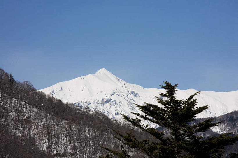 无人,横图,室外,白天,仰视,旅游,度假,美景,山,树林,雪,植物,大雪,长野县,日本,亚洲,许多,积雪,景观,山峰,雪景,冬季,冬天,山峦,娱乐,树,树木,蓝色,绿色,蓝天,天空,自然,天,享受,休闲,景色,放松,寒冷,生长,晴朗,成长,自然风光,东亚,本州,万里无云,本州岛,日本国,中部地方,长野,严寒,晴空,晴空万里,彩图,低角度拍摄