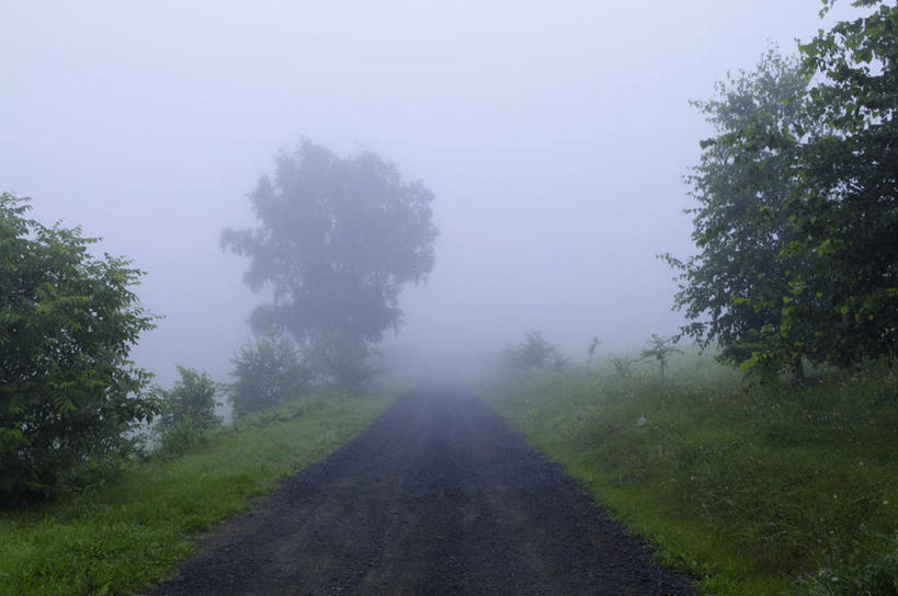 无人,横图,室外,白天,仰视,旅游,度假,草地,草坪,美景,树林,植物,雾,北海道,日本,亚洲,许多,朦胧,模糊,景观,娱乐,草,树,树木,蓝色,绿色,蓝天,天空,自然,天,享受,休闲,景色,放松,生长,成长,迷雾,自然风光,东亚,日本国,北海道地方,北海道岛,大雾,彩图,低角度拍摄