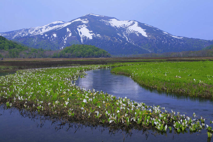 东方人,横图,室外,白天,正面,旅游,度假,纯洁,花海,花圃,河流,美景,山,山脉,树林,水,雪,植物,大雪,马蹄莲,叶子,日本,亚洲,许多,盛开,河水,积雪,景观,山峰,水流,雪景,冬季,冬天,绿叶,山峦,许多人,花蕾,黄种人,娱乐,花,花瓣,花朵,花卉,鲜花,树,树木,虔诚,绿色,自然,花丛,花田,群山,花苞,花蕊,一群人,享受,休闲,嫩叶,景色,放松,寒冷,生长,成长,希望,优雅,高贵,自然风光,东亚,纯净,马蹄兰,本州,关东地方,本州岛,日本国,群马,群马县,博爱,永恒,尊贵,高洁,慈菇花,严寒,圣洁,水芋,水芋马,亚洲人,叶,叶片,彩图,全身