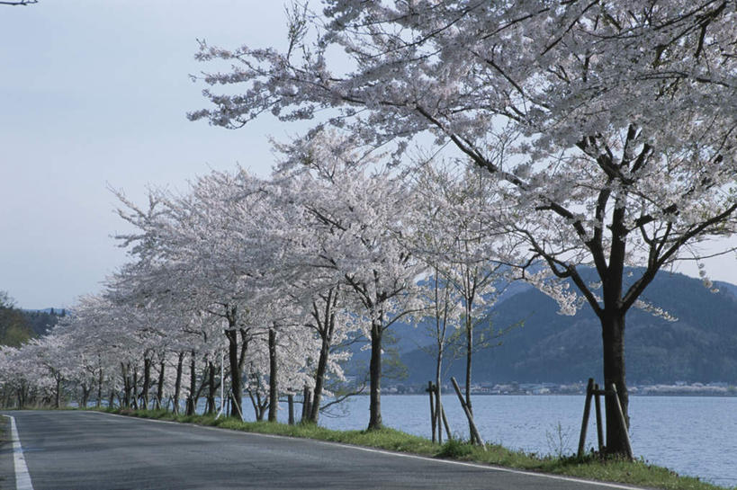 无人,横图,俯视,室外,白天,旅游,度假,岛屿,海浪,海洋,美景,山,山脉,树林,植物,道路,路,公路,日本,亚洲,许多,景观,浪花,山峰,交通,山峦,娱乐,树,树木,蓝色,绿色,蓝天,天空,自然,海水,群山,天,享受,休闲,景色,放松,生长,晴朗,成长,自然风光,海景,东亚,本州,万里无云,本州岛,日本国,近畿地方,近畿,滋贺,滋贺县,大海,风浪,海,海水的波动,近岸浪,列岛,群岛,涌浪,诸岛,晴空,晴空万里,马路,彩图,高角度拍摄