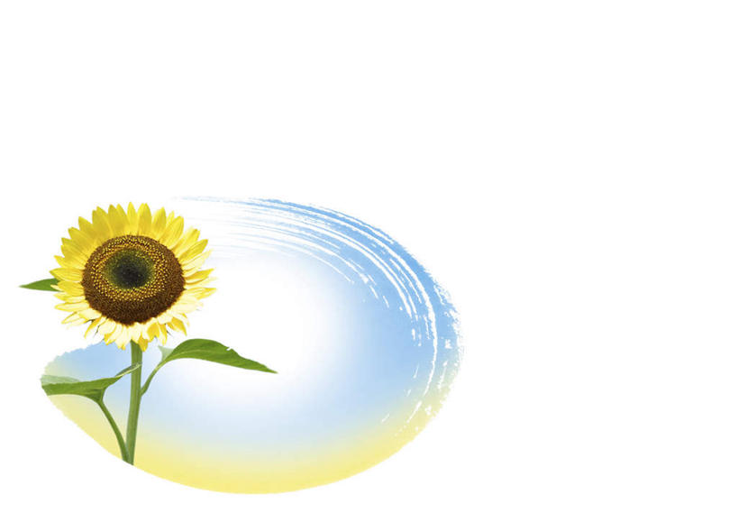 无人,横图,俯视,插画,室内,白天,白色背景,爱情,幸福,数码,科技,太阳,植物,向日葵,叶子,阴影,盛开,网络,绿叶,高光,几何,计算机图形,合成,图画,画,花,花瓣,花朵,花卉,鲜花,一朵,黄色,蓝色,花蕊,嫩叶,电脑合成图,数码合成图,环形,圈形,漫画,光辉,沉默,忠诚,写实,具体,具象,勇敢,投缘,爱慕,高傲,朝阳花,葵花,望日莲,向阳花,转日莲,叶,叶片,彩图,高角度拍摄