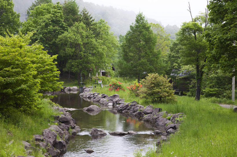 无人,横图,室外,白天,正面,旅游,度假,花海,花圃,河流,石头,美景,树林,水,植物,杜鹃花,叶子,长野县,日本,亚洲,许多,阴影,朦胧,模糊,盛开,光线,石子,影子,河水,景观,水流,杜鹃,绿叶,花蕾,娱乐,花,花瓣,花朵,花卉,鲜花,树,树木,蓝色,绿色,蓝天,天空,小溪,阳光,自然,花丛,花田,天,溪水,花苞,花蕊,享受,休闲,嫩叶,景色,放松,生长,晴朗,成长,喜悦,克制,自然风光,东亚,本州,万里无云,本州岛,日本国,中部地方,长野,红杜鹃,满山红,清明花,清时,山踯躅,红踯躅,节制,欣喜,山石榴,映山红,叶,叶片,石块,晴空,晴空万里,彩图