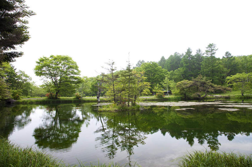 无人,横图,室外,白天,正面,旅游,度假,花海,花圃,河流,石头,美景,树林,水,植物,杜鹃花,叶子,长野县,日本,亚洲,许多,阴影,朦胧,模糊,盛开,光线,石子,影子,河水,景观,水流,杜鹃,绿叶,花蕾,娱乐,花,花瓣,花朵,花卉,鲜花,树,树木,蓝色,绿色,蓝天,天空,小溪,阳光,自然,花丛,花田,天,溪水,花苞,花蕊,享受,休闲,嫩叶,景色,放松,生长,晴朗,成长,喜悦,克制,自然风光,东亚,本州,万里无云,本州岛,日本国,中部地方,长野,红杜鹃,满山红,清明花,清时,山踯躅,红踯躅,节制,欣喜,山石榴,映山红,叶,叶片,石块,晴空,晴空万里,彩图