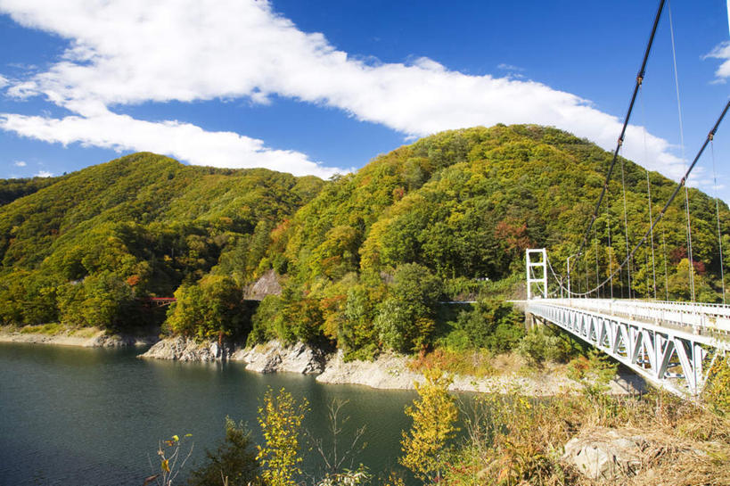 无人,横图,室外,白天,仰视,旅游,度假,河流,美景,树林,水,植物,大桥,立交桥,桥梁,日本,亚洲,许多,阴影,光线,影子,河水,景观,水流,云,云朵,高架,斜拉桥,桥,云彩,娱乐,树,树木,蓝色,绿色,白云,蓝天,天空,阳光,自然,天,享受,休闲,景色,放松,生长,晴朗,成长,自然风光,东亚,本州,关东地方,本州岛,日本国,栃木,栃木县,晴空,彩图,低角度拍摄