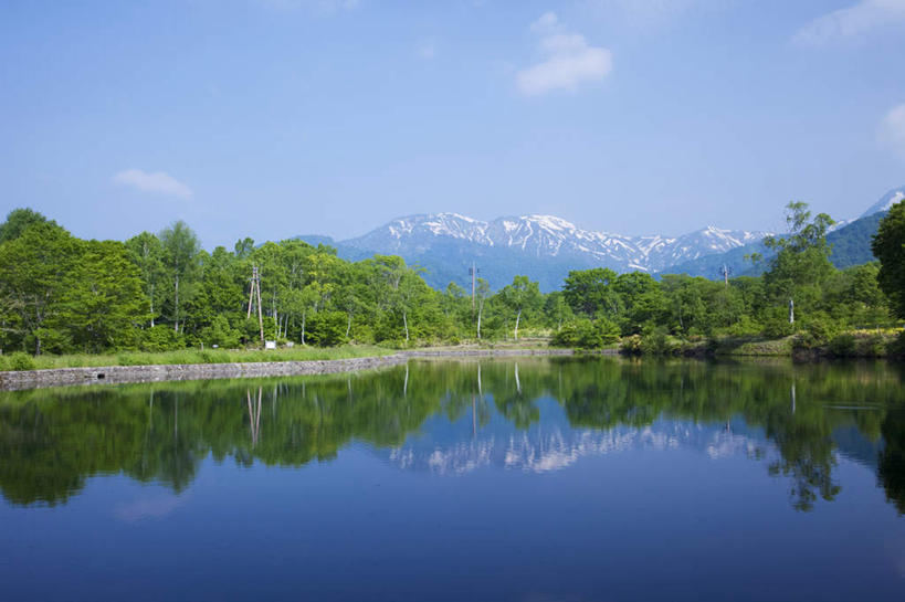 无人,横图,室外,白天,仰视,旅游,度假,河流,美景,山,山脉,树林,水,雪,植物,大雪,日本,亚洲,许多,阴影,光线,影子,河水,积雪,景观,山峰,水流,雪景,云,云朵,冬季,冬天,山峦,云彩,娱乐,树,树木,蓝色,绿色,白云,蓝天,天空,阳光,自然,群山,天,享受,休闲,景色,放松,寒冷,生长,晴朗,成长,自然风光,东亚,本州,本州岛,日本国,中部地方,新潟,新潟县,严寒,晴空,彩图,低角度拍摄