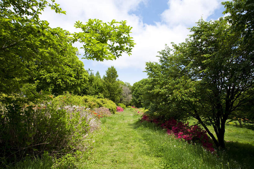 无人,横图,俯视,室外,白天,旅游,度假,草地,草坪,花海,花圃,美景,山,山脉,树林,植物,杜鹃花,叶子,长野县,日本,亚洲,许多,阴影,盛开,光线,影子,景观,山峰,云,云朵,杜鹃,绿叶,山峦,花蕾,云彩,娱乐,草,花,花瓣,花朵,花卉,鲜花,树,树木,红色,蓝色,绿色,白云,蓝天,天空,阳光,自然,花丛,花田,群山,天,花苞,花蕊,享受,休闲,嫩叶,景色,放松,生长,晴朗,成长,喜悦,克制,自然风光,东亚,本州,本州岛,日本国,中部地方,长野,红杜鹃,满山红,清明花,清时,山踯躅,红踯躅,节制,欣喜,山石榴,映山红,叶,叶片,晴空,彩图,高角度拍摄