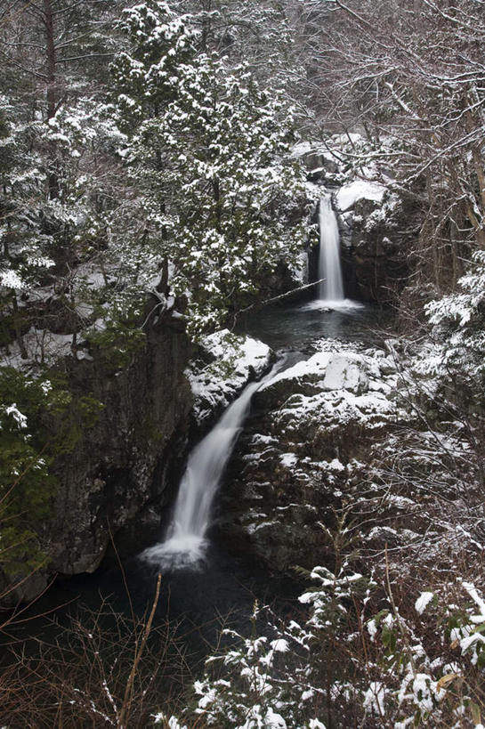 无人,竖图,俯视,室外,白天,旅游,度假,河流,石头,美景,瀑布,树林,水,雪,植物,大雪,日本,亚洲,许多,飞溅,朦胧,模糊,溅,石子,液体,河水,积雪,景观,水滴,水流,雪景,冬季,冬天,娱乐,水珠,树,树木,绿色,小溪,自然,溪水,享受,休闲,景色,放松,寒冷,生长,成长,喷洒,自然风光,东亚,本州,本州岛,日本国,中部地方,岐阜,岐阜县,严寒,跌水,石块,岩石,彩图,高角度拍摄