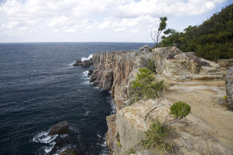 无人,横图,室外,白天,正面,旅游,度假,海浪,海洋,石头,美景,树林,植物,日本,亚洲,许多,石子,景观,浪花,水平线,悬崖,云,云朵,辽阔,海平线,云彩,娱乐,树,树木,蓝色,绿色,白云,蓝天,天空,自然,海水,天,享受,休闲,广阔,景色,放松,生长,晴朗,成长,一望无际,自然风光,海景,东亚,本州,本州岛,日本国,近畿地方,近畿,和歌山,和歌山县,绝壁,无边无际,一马平川,大海,风浪,海,海水的波动,近岸浪,石块,岩石,涌浪,晴空,彩图,水天相接,水天一线