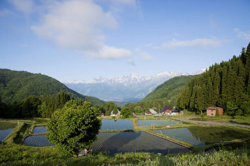 无人,家,农田,横图,室外,白天,仰视,旅游,度假,庄稼,梯田,农作物,美景,山,山脉,树林,雪,植物,大雪,长野县,日本,亚洲,许多,阴影,光线,影子,房屋,屋子,积雪,景观,山峰,雪景,云,云朵,冬季,冬天,山峦,云彩,娱乐,楼房,住宅,树,树木,蓝色,绿色,白云,蓝天,天空,阳光,自然,群山,天,享受,休闲,景色,放松,寒冷,生长,晴朗,成长,自然风光,东亚,本州,本州岛,日本国,中部地方,长野,严寒,晴空,彩图,低角度拍摄,耕地,庄稼田,房子