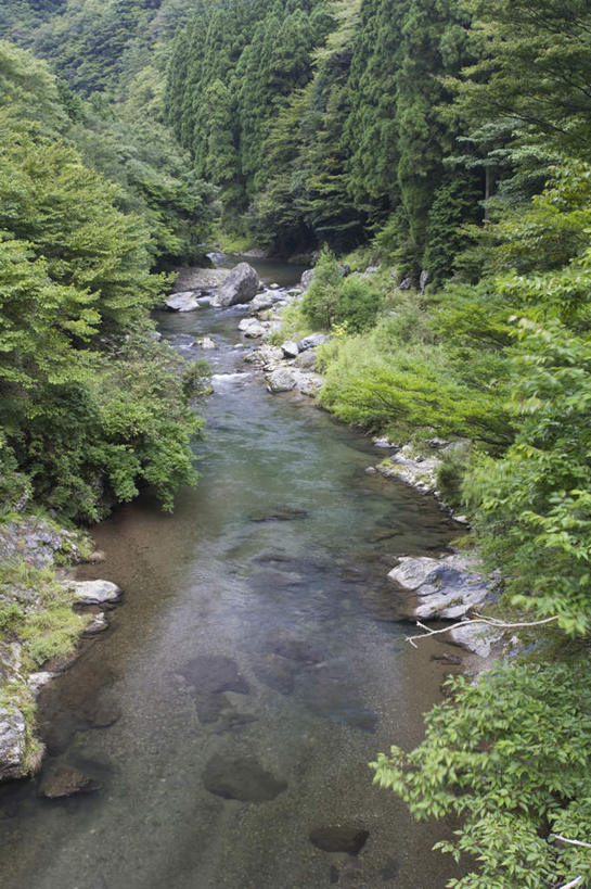 无人,竖图,俯视,室外,白天,旅游,度假,河流,美景,树林,水,峡谷,植物,京都,日本,亚洲,许多,河水,景观,水流,娱乐,树,树木,绿色,小溪,自然,溪水,享受,休闲,景色,放松,京都府,生长,成长,自然风光,东亚,本州,本州岛,日本国,近畿地方,近畿,彩图,高角度拍摄