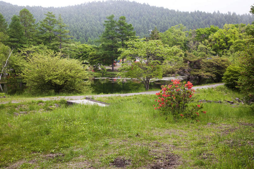 无人,横图,室外,白天,正面,旅游,度假,草地,河流,美景,树林,水,植物,杜鹃花,叶子,长野县,日本,亚洲,许多,盛开,河水,景观,水流,杜鹃,绿叶,娱乐,草,花,花瓣,花朵,花卉,鲜花,树,树木,蓝色,绿色,蓝天,天空,自然,天,花蕊,享受,休闲,嫩叶,景色,放松,生长,晴朗,成长,喜悦,克制,自然风光,东亚,本州,万里无云,本州岛,日本国,中部地方,长野,红杜鹃,满山红,清明花,清时,山踯躅,红踯躅,节制,欣喜,山石榴,映山红,叶,叶片,晴空,晴空万里,彩图