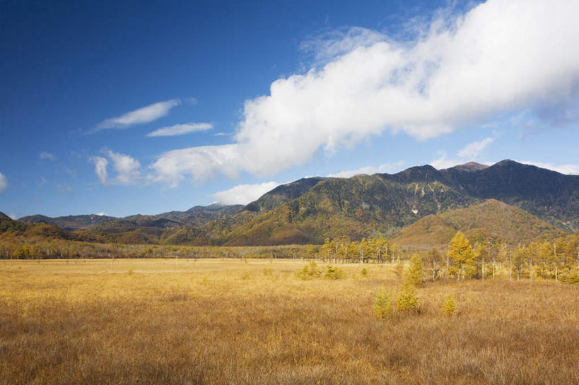 无人,横图,室外,白天,仰视,旅游,度假,草地,美景,山,山脉,树林,植物,日本,亚洲,许多,阴影,光线,影子,景观,山峰,云,云朵,山峦,云彩,娱乐,草,树,树木,蓝色,绿色,白云,蓝天,天空,阳光,自然,群山,天,享受,休闲,景色,放松,生长,晴朗,成长,沼泽,自然风光,东亚,本州,关东地方,本州岛,日本国,栃木,栃木县,晴空,彩图,低角度拍摄