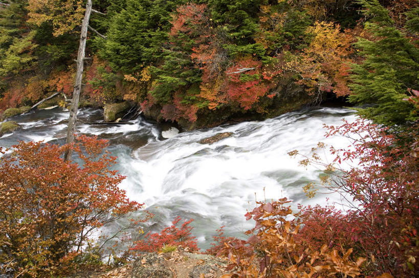 无人,横图,俯视,室外,白天,旅游,度假,河流,石头,美景,瀑布,秋季,山,山脉,树林,水,植物,日本,亚洲,许多,飞溅,溅,石子,液体,河水,景观,山峰,水滴,水流,云,云朵,山峦,云彩,娱乐,水珠,树,树木,蓝色,绿色,白云,蓝天,天空,小溪,自然,群山,天,溪水,享受,休闲,景色,放松,生长,晴朗,成长,喷洒,自然风光,东亚,本州,关东地方,本州岛,日本国,栃木,栃木县,跌水,石块,岩石,晴空,秋,秋天,彩图,高角度拍摄