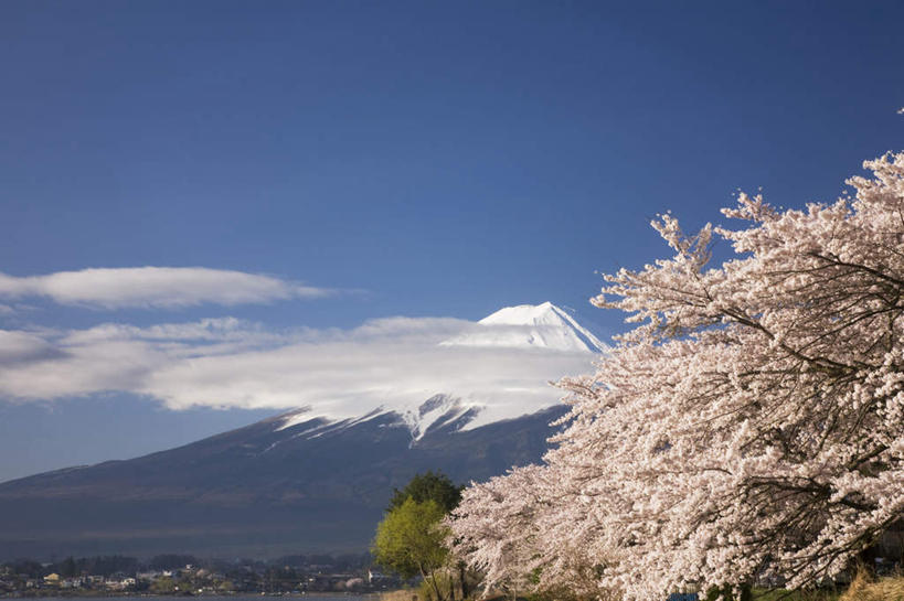 无人,家,栏杆,横图,室外,白天,仰视,旅游,度假,美景,山,树林,雪,植物,大雪,樱花,日本,亚洲,许多,阴影,电力,光线,电线,线,影子,房屋,屋子,积雪,景观,山峰,雪景,冬季,冬天,围栏,樱花树,电能,山峦,线路,娱乐,护栏,楼房,住宅,树,树木,粉色,蓝色,绿色,蓝天,天空,阳光,自然,天,享受,休闲,景色,放松,寒冷,生长,晴朗,成长,电,电源,电源线,自然风光,能量,东亚,本州,万里无云,本州岛,日本国,中部地方,山梨,山梨县,仙樱花,福岛樱,青肤樱,严寒,晴空,晴空万里,荆桃,彩图,低角度拍摄,房子