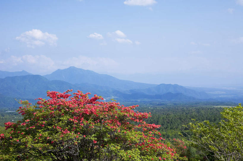 无人,横图,俯视,室外,白天,旅游,度假,美景,山,山脉,树林,植物,杜鹃花,日本,亚洲,许多,景观,山峰,云,云朵,杜鹃,山峦,云彩,娱乐,树,树木,红色,蓝色,绿色,白云,蓝天,天空,自然,群山,天,享受,休闲,景色,放松,生长,晴朗,成长,喜悦,克制,自然风光,东亚,本州,本州岛,日本国,中部地方,山梨,山梨县,红杜鹃,满山红,清明花,清时,山踯躅,红踯躅,节制,欣喜,山石榴,映山红,晴空,彩图,高角度拍摄