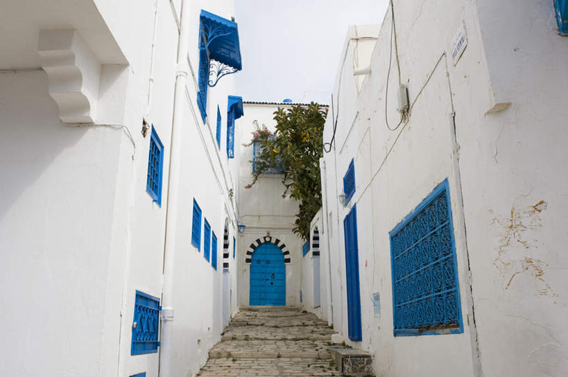 无人,家,栏杆,横图,室外,白天,仰视,旅游,度假,美景,窗户,楼梯,门,城市风光,城市,建筑,非洲,突尼斯,木制,扶手,房屋,阶梯,屋子,景观,公寓,娱乐,建设,洋房,护栏,楼房,玻璃窗,台阶,住宅,蓝色,木制品,门框,享受,休闲,景色,放松,阿非利加洲,蓝白小镇,突尼斯共和国,西迪布济德,西迪布济德省,彩图,低角度拍摄,房子