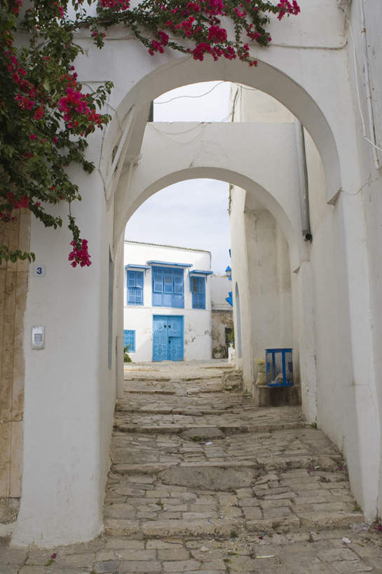 无人,家,栏杆,竖图,室外,白天,仰视,旅游,度假,美景,窗户,楼梯,门,城市风光,城市,建筑,叶子,非洲,突尼斯,盛开,木制,扶手,房屋,阶梯,屋子,景观,公寓,绿叶,花蕾,娱乐,建设,洋房,护栏,楼房,玻璃窗,台阶,住宅,花,花瓣,花朵,鲜花,蓝色,木制品,门框,花苞,花蕊,享受,休闲,嫩叶,景色,放松,阿非利加洲,蓝白小镇,突尼斯共和国,西迪布济德,西迪布济德省,叶,叶片,彩图,低角度拍摄,房子