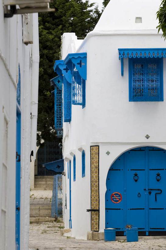 无人,家,竖图,室外,白天,正面,旅游,度假,美景,植物,窗户,城市风光,城市,道路,建筑,路,公路,非洲,突尼斯,木制,房屋,屋子,景观,公寓,小路,交通,娱乐,建设,洋房,楼房,玻璃窗,住宅,树,树木,蓝色,绿色,蓝天,天空,自然,木制品,门框,天,享受,休闲,景色,放松,生长,晴朗,成长,万里无云,阿非利加洲,蓝白小镇,突尼斯共和国,西迪布济德,西迪布济德省,晴空,晴空万里,马路,彩图,房子