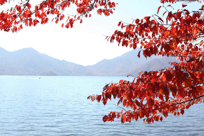 无人,横图,室外,白天,正面,旅游,度假,湖,湖泊,美景,秋季,山,山脉,水,植物,叶子,日光,日本,亚洲,波纹,湖面,景观,山峰,水流,水面,红叶,落叶,涟漪,山峦,娱乐,树,树木,蓝色,绿色,蓝天,水纹,天空,自然,波浪,湖水,群山,天,享受,休闲,景色,放松,生长,晴朗,成长,自然风光,东亚,本州,万里无云,关东地方,本州岛,日本国,栃木,栃木县,水晕,日光市,叶,叶片,晴空,晴空万里,秋,秋天,彩图