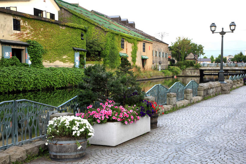 无人,家,横图,室外,白天,正面,旅游,度假,湖,湖泊,花海,花圃,美景,水,植物,别墅,城市风光,城市,道路,建筑,路,路灯,公路,叶子,照明,北海道,日本,亚洲,许多,装饰,平静,盛开,盆栽,房屋,屋子,湖面,景观,水流,水面,公寓,建筑群,灯光,盆景,交通,花蕾,娱乐,建设,洋房,楼房,住宅,灯,花,花瓣,花朵,花卉,鲜花,粉色,红色,蓝色,绿色,白色,蓝天,天空,自然,湖水,花丛,花束,花田,天,花苞,花蕊,享受,休闲,景色,放松,生长,晴朗,成长,华丽,修饰,照亮,点缀,照明设备,东亚,万里无云,日本国,北海道地方,北海道岛,衬托,美观,雅致,雅观,晴空,晴空万里,马路,彩图,房子