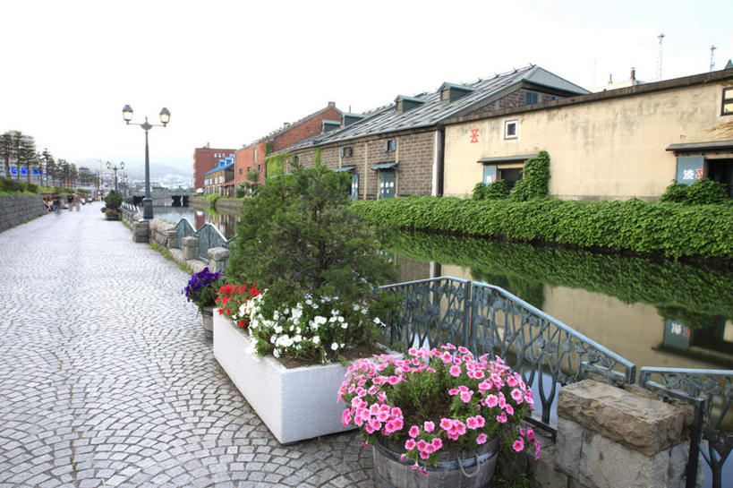 无人,家,横图,室外,白天,正面,旅游,度假,湖,湖泊,花海,花圃,美景,水,植物,别墅,城市风光,城市,道路,建筑,路,路灯,公路,叶子,照明,北海道,日本,亚洲,许多,装饰,平静,盛开,盆栽,房屋,屋子,湖面,景观,水流,水面,公寓,建筑群,灯光,盆景,交通,花蕾,娱乐,建设,洋房,楼房,住宅,灯,花,花瓣,花朵,花卉,鲜花,粉色,红色,蓝色,绿色,白色,蓝天,天空,自然,湖水,花丛,花束,花田,天,花苞,花蕊,享受,休闲,景色,放松,生长,晴朗,成长,华丽,修饰,照亮,点缀,照明设备,东亚,万里无云,日本国,北海道地方,北海道岛,衬托,美观,雅致,雅观,晴空,晴空万里,马路,彩图,房子