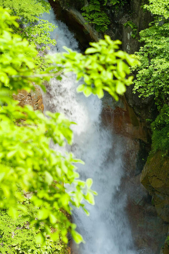 无人,竖图,俯视,室外,特写,白天,旅游,度假,美景,瀑布,水,叶子,日本,亚洲,许多,飞溅,湍急,溅,液体,景观,水滴,绿叶,娱乐,水珠,自然,享受,休闲,嫩叶,景色,放松,喷洒,自然风光,东亚,本州,本州岛,日本国,中部地方,新潟,新潟县,叶,叶片,跌水,彩图,高角度拍摄