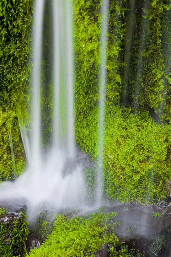 无人,竖图,室外,白天,正面,旅游,度假,河流,美景,瀑布,水,植物,叶子,日本,亚洲,许多,飞溅,朦胧,模糊,湍急,溅,液体,河水,景观,水滴,水流,绿叶,娱乐,水珠,树,树木,绿色,小溪,自然,溪水,享受,休闲,嫩叶,景色,放松,生长,成长,喷洒,自然风光,东亚,本州,关东地方,本州岛,日本国,群马,群马县,叶,叶片,跌水,彩图