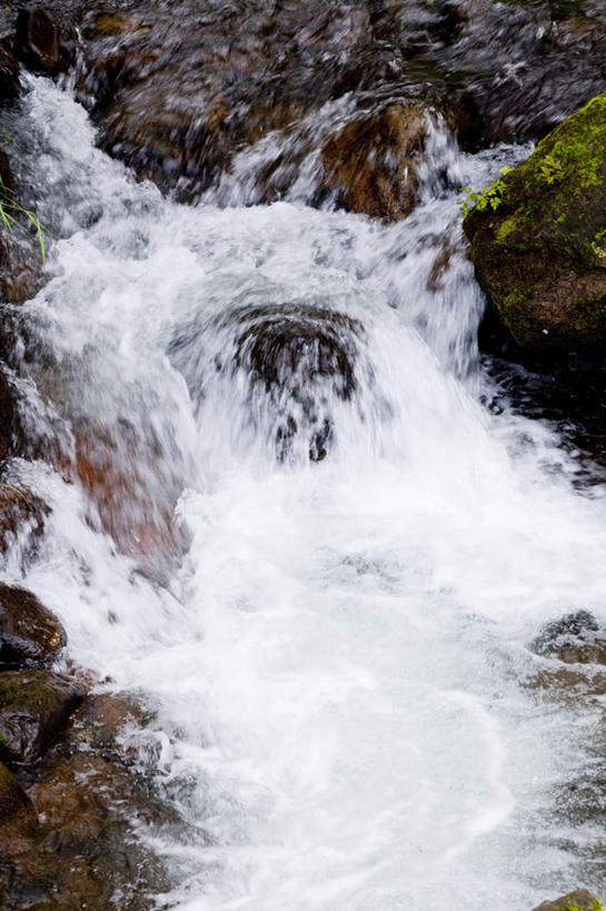 无人,竖图,俯视,室外,白天,旅游,度假,河流,礁石,石头,美景,水,植物,叶子,长野县,日本,亚洲,朦胧,模糊,湍急,石子,河水,景观,水流,绿叶,苔藓,娱乐,绿色,自然,享受,休闲,嫩叶,景色,放松,流动,自然风光,流淌,东亚,本州,本州岛,日本国,中部地方,长野,叶,叶片,礁,石块,岩石,彩图,高角度拍摄