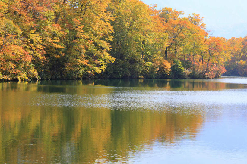无人,横图,室外,白天,正面,旅游,度假,湖,湖泊,美景,秋季,树林,水,植物,叶子,长野县,日本,亚洲,许多,波纹,平静,湖面,景观,水流,水面,云,云朵,枯叶,落叶,涟漪,云彩,娱乐,树,树木,黄色,红色,蓝色,绿色,白云,倒影,蓝天,水纹,天空,自然,波浪,湖水,天,享受,休闲,景色,安静,放松,生长,晴朗,成长,宁静,静谧,自然风光,东亚,本州,本州岛,日本国,中部地方,水晕,长野,镇静,冷静,沉静,安祥,僻静,清静,太平,叶,叶片,晴空,秋,秋天,彩图