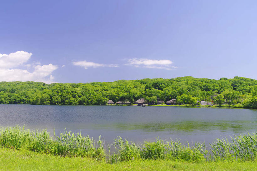 无人,横图,室外,白天,正面,旅游,度假,草地,草坪,湖,湖泊,美景,森林,树林,水,植物,北海道,日本,亚洲,许多,湖面,景观,水流,水面,云,云朵,云彩,娱乐,树,树木,蓝色,绿色,白云,蓝天,天空,自然,湖水,天,享受,休闲,景色,放松,生长,晴朗,成长,自然风光,东亚,日本国,北海道地方,北海道岛,晴空,彩图