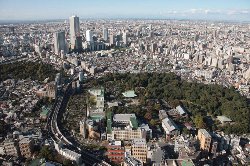 无人,高楼大厦,横图,全景,俯视,航拍,室外,白天,度假,美景,树林,天际线,植物,城市风光,城市,大厦,道路,建筑,路,摩天大楼,公路,汽车,东京,日本,亚洲,阴影,光线,影子,景观,云,云朵,建筑群,交通,云彩,娱乐,建设,车,树,树木,蓝色,绿色,白云,蓝天,天空,阳光,自然,交通工具,轿车,天,享受,休闲,景色,放松,生长,晴朗,成长,鸟瞰,载具,东亚,本州,关东地方,本州岛,日本国,东京都,晴空,马路,彩图,高角度拍摄,大楼,高层建筑,高楼,摩天楼,文京区