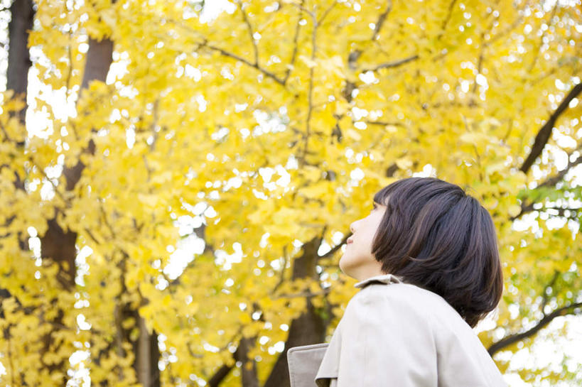 东方人,一个人,商务人士,商务女性,站,横图,室外,白天,仰视,西装,树林,植物,日本,亚洲,仅一个年轻女性,仅一个女性,仅一个人,许多,握,阴影,套装,正装,朦胧,模糊,光线,材料,档案,文件,影子,拿,拿着,注视,职业装,黄种人,树,树木,黄色,绿色,阳光,自然,资料,观察,看,站着,握着,生长,成长,观看,察看,关注,文档,商务装,工薪阶层,东亚,日本国,年轻女性,女人,女性,亚洲人,白领,上班族,站立,半身,彩图,低角度拍摄