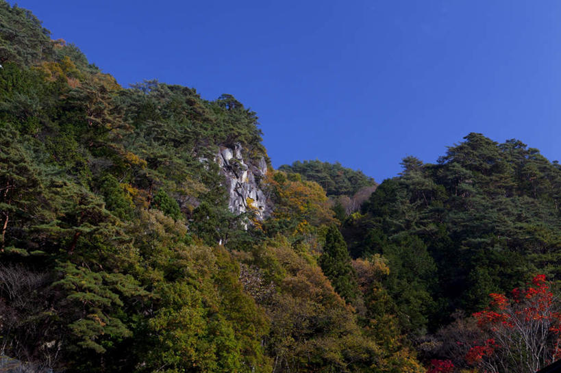 无人,横图,室外,白天,仰视,旅游,度假,美景,秋季,山,山脉,树林,植物,叶子,日本,亚洲,景观,山峰,山峦,娱乐,树,树木,红色,蓝色,绿色,蓝天,天空,自然,群山,天,享受,休闲,景色,放松,生长,晴朗,成长,自然风光,东亚,本州,万里无云,本州岛,日本国,中部地方,山梨,山梨县,叶,叶片,晴空,晴空万里,秋,秋天,彩图,低角度拍摄