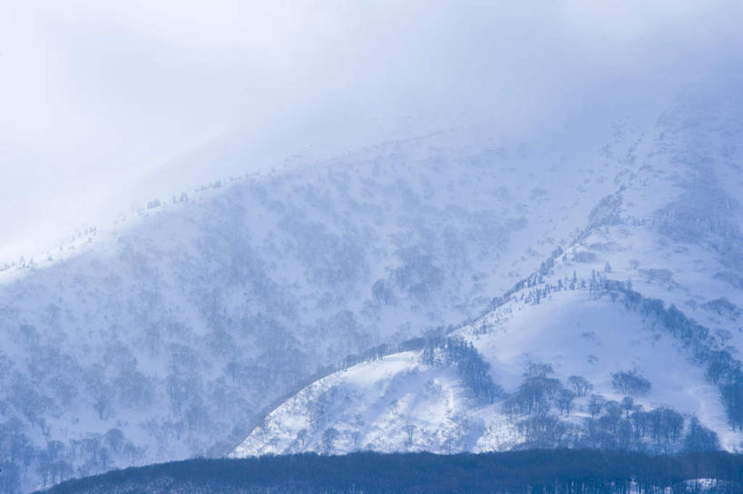 无人,横图,室外,白天,正面,旅游,度假,美景,山,山脉,树林,植物,雾,日本,亚洲,朦胧,模糊,景观,山峰,山峦,娱乐,树,树木,蓝色,绿色,蓝天,天空,自然,群山,天,享受,休闲,景色,放松,生长,晴朗,成长,迷雾,自然风光,东亚,本州,万里无云,本州岛,日本国,青森,青森县,东北地方,大雾,晴空,晴空万里,彩图,八甲田山