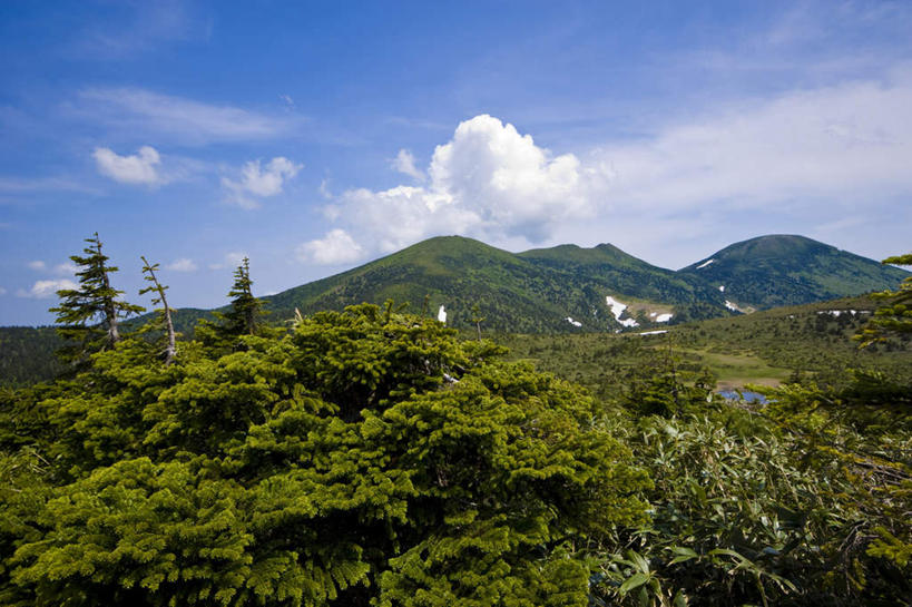 无人,横图,室外,白天,正面,旅游,度假,美景,森林,山,山脉,树林,植物,日本,亚洲,阴影,光线,影子,景观,山峰,云,云朵,山峦,云彩,娱乐,树,树木,蓝色,绿色,白云,蓝天,天空,阳光,自然,群山,天,享受,休闲,景色,放松,生长,晴朗,成长,自然风光,东亚,本州,本州岛,日本国,青森,青森县,东北地方,晴空,彩图
