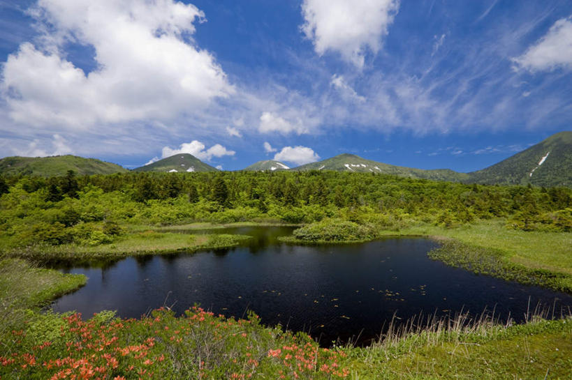无人,横图,室外,白天,正面,旅游,度假,草地,草坪,湖,湖泊,美景,森林,山,山脉,树林,水,植物,日本,亚洲,许多,盛开,湖面,景观,山峰,水流,水面,云,云朵,山峦,花蕾,云彩,娱乐,草,花,花瓣,花朵,鲜花,树,树木,蓝色,绿色,白云,蓝天,天空,自然,湖水,群山,天,花苞,花蕊,享受,休闲,景色,放松,生长,晴朗,成长,沼泽,自然风光,东亚,本州,本州岛,日本国,青森,青森县,东北地方,十和田市,十和田,池沼,晴空,彩图