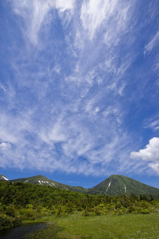 无人,竖图,室外,白天,仰视,旅游,度假,美景,森林,山,山脉,树林,植物,日本,亚洲,阴影,光线,影子,景观,山峰,云,云朵,山峦,云彩,娱乐,树,树木,蓝色,绿色,白云,蓝天,天空,阳光,自然,群山,天,享受,休闲,景色,放松,生长,晴朗,成长,自然风光,东亚,本州,本州岛,日本国,青森,青森县,东北地方,晴空,彩图,低角度拍摄