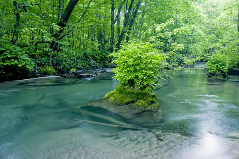 无人,横图,室外,白天,正面,旅游,度假,草地,草坪,河流,美景,树林,水,植物,日本,亚洲,河水,景观,水流,娱乐,草,树,树木,绿色,自然,享受,休闲,景色,放松,生长,成长,自然风光,东亚,本州,本州岛,日本国,青森,青森县,东北地方,十和田市,十和田,彩图