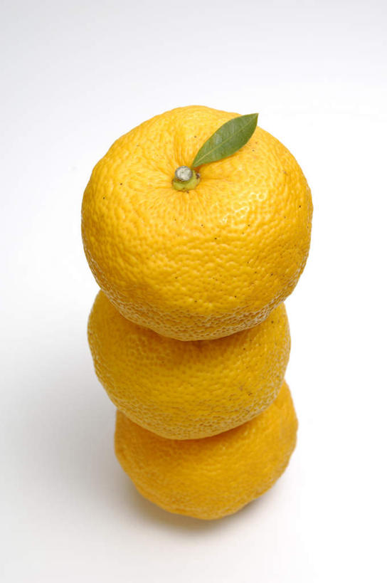 无人,竖图,俯视,室内,特写,白天,餐桌,桌面,桌子,柑橘,水果,叶子,一堆,堆叠,堆积,新鲜,生食,食品,果实,绿叶,食物,三个,嫩叶,摄影,有机食品,绿色食品,影棚,餐台,堆,叶,叶片,橘子,桔子,橙子,橙,彩图,高角度拍摄,影棚拍摄,拍摄