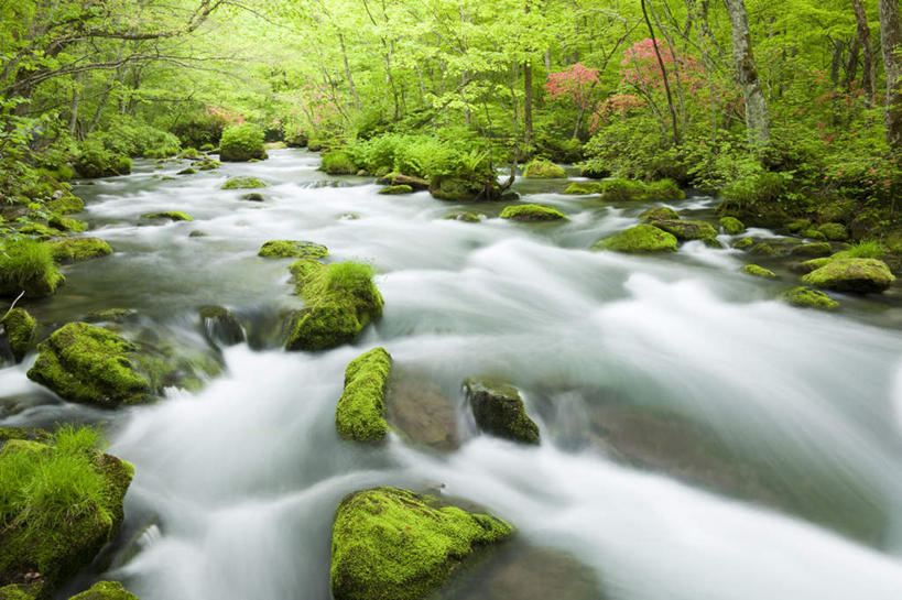 无人,横图,俯视,室外,白天,旅游,度假,草地,草坪,河流,石头,美景,树林,水,植物,日本,亚洲,石子,河水,景观,水流,娱乐,草,树,树木,绿色,小溪,自然,溪水,享受,休闲,景色,放松,生长,成长,自然风光,东亚,本州,本州岛,日本国,青森,青森县,东北地方,石块,彩图,高角度拍摄